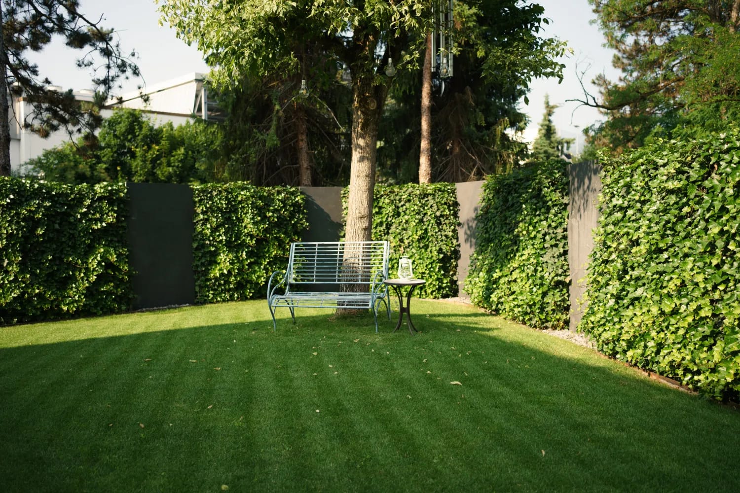 Sichtschutz mit Efeu